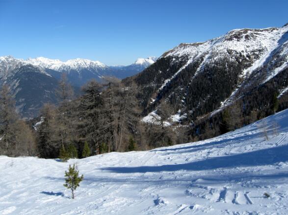 Abfahrt oberhalb der Waldgrenze.