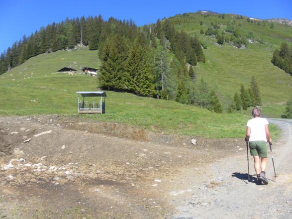 Penninghofalm vor Roßkopf