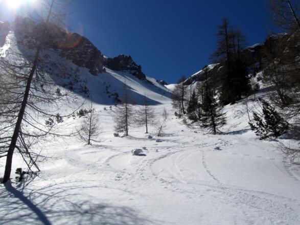 Traumhafte Abfahrt im lichten Wald.