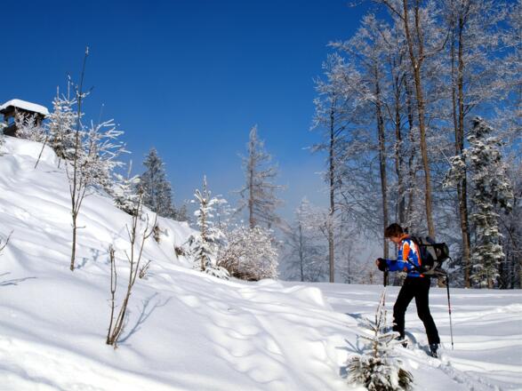 Plateau (Forststr.) um 985m