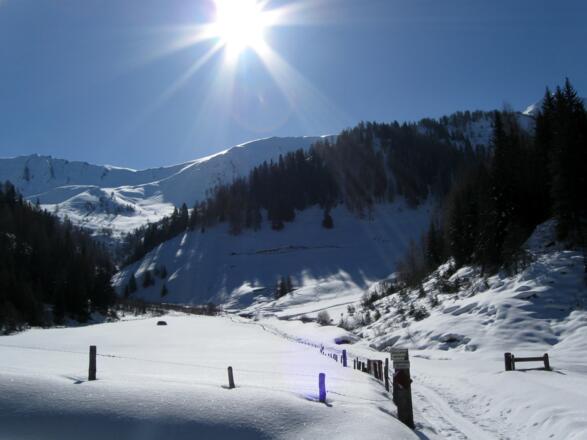 Kurz vor der Brücke über den Weirichbach. Geradeaus sieht man die Almflächen der Möslalm. Noch im Schatten: Die Balsigleralm. Zur Scheibenspitze geht man nach der Brücke rechts.