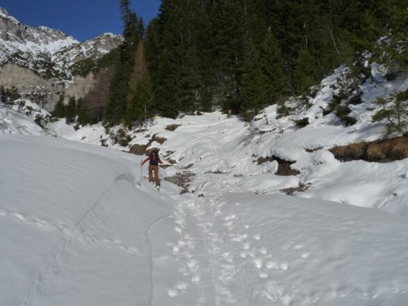 Beim Oberbach wechseln wir die Talseite und steigen zur Solenalm auf.