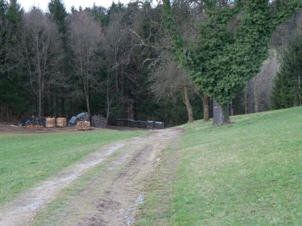 Waldstück