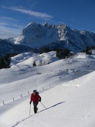 Wilder Kaiser hinter den Almwiesen