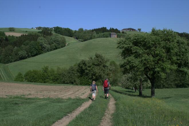Auf dem Weg nach Bad Kreuzen
