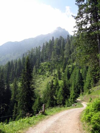 Auf dem Weg zur Raitiser Alm, bzw. Kreither Alm
