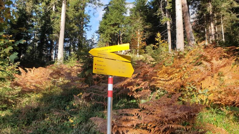Der Anstieg ist immer gut beschildert