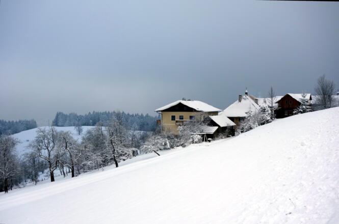 Weiler Schaffling ~830m