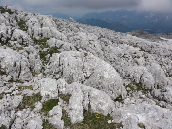 Abstieg nach Norden zuerst flach; Sicht auf das Sengsengebirge