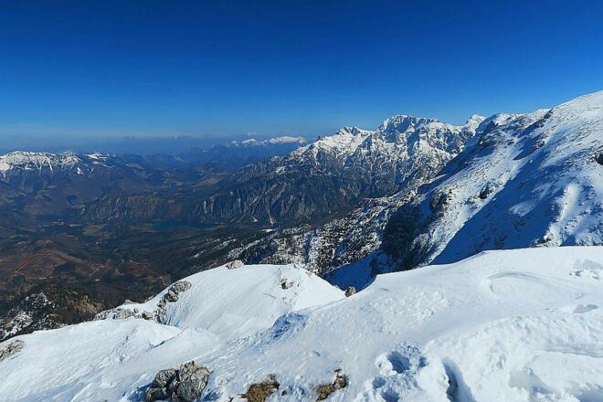 Almsee