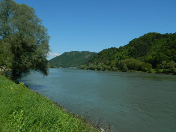 Donaubrücke Grein-Tiefenbach, Beginn des Strudengaus