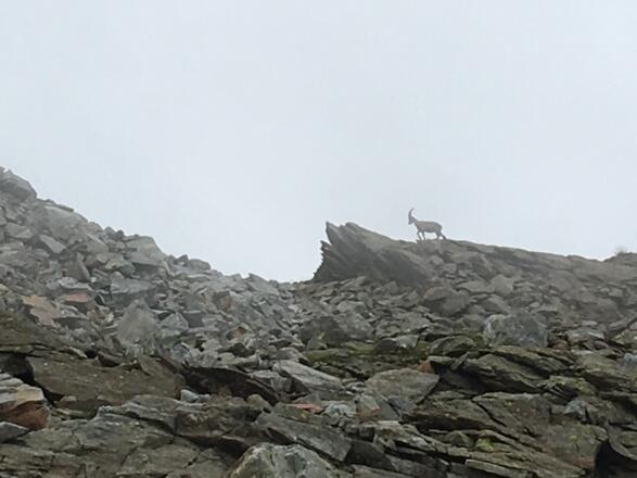 auf dem Weg zur Bremer Hütte