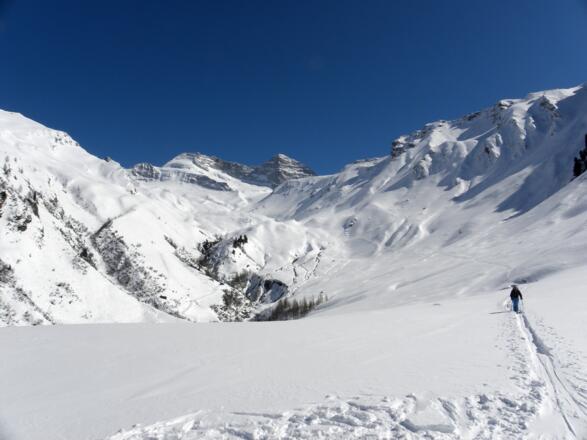 Das Wildlahnertal hinaus..