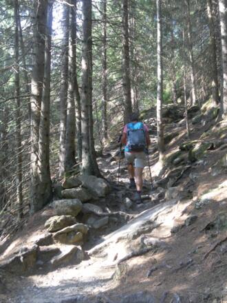 Waldpfad zum Duisitzkarsee
