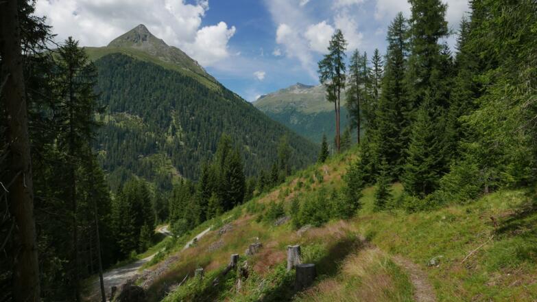 auf dem Rückweg, Blick zum Weißen Beil