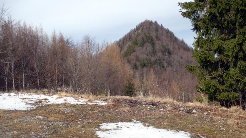 Wasenriedel/Zickertstein 1129m