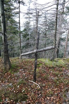 Das kleine hölzerne Gipfelkreuz am Hutberg.