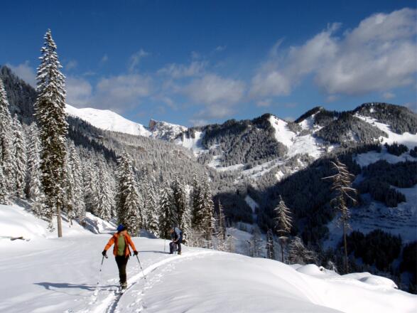 Auf der Forststraße um 1250m, mit Roter Wand