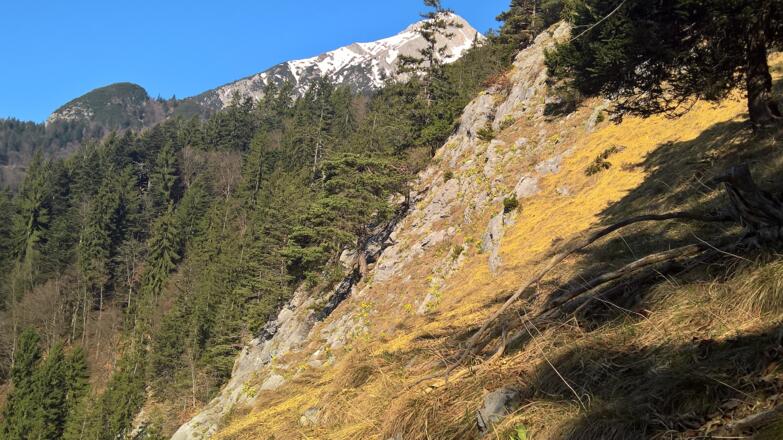 Platenigl mit Blick auf die Rumerspitz