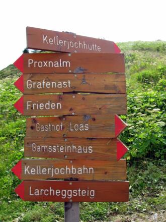 Schilderbaum. Perfekter Zustand der Wege.