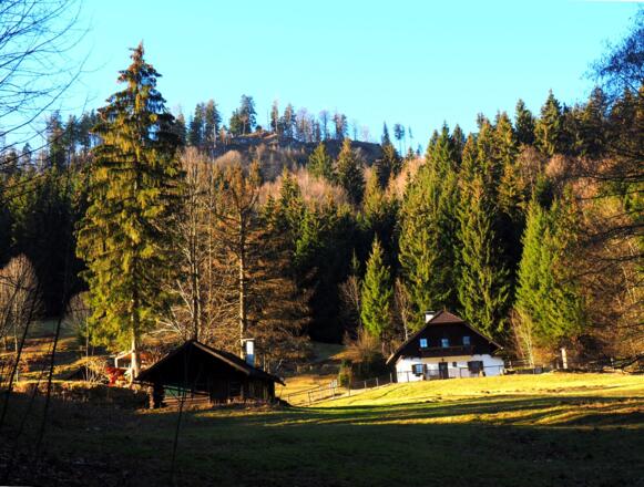 Jagdhütten um 880m