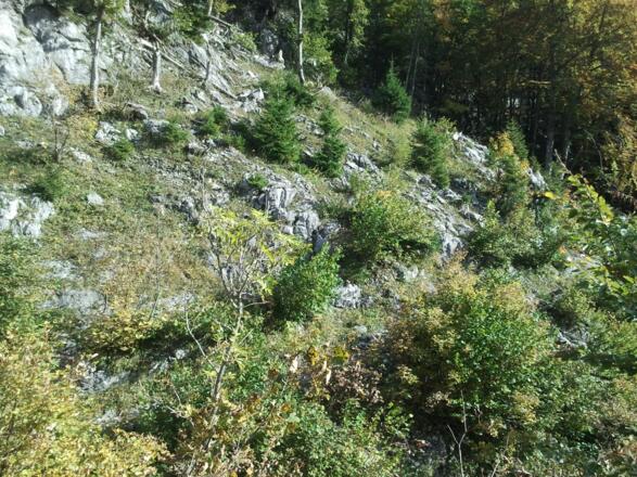 Wanderweg