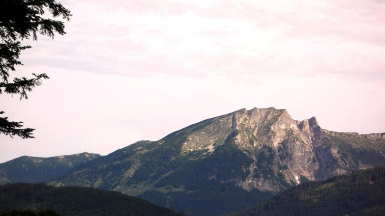 Gamsfeldblick am Morgen < 1130m