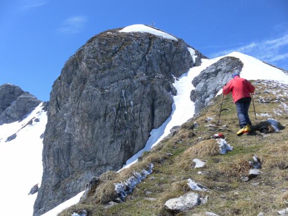 Firngrat und Gipfelfels des Gamsspitzls