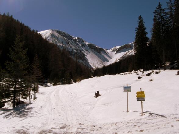 Zurück am Ausgangspunkt. Hinten in der Bildmitte noch einmal die tolle Abfahrtsrinne.