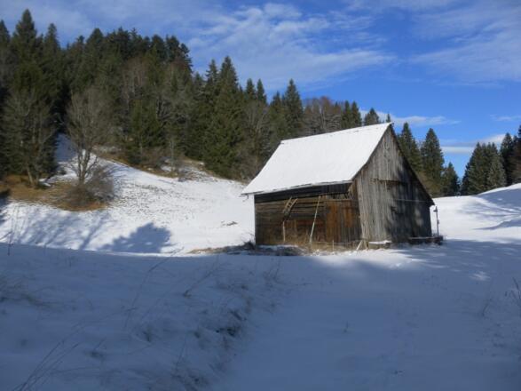 Almstadel am Sattel, Schneise zum Kapf