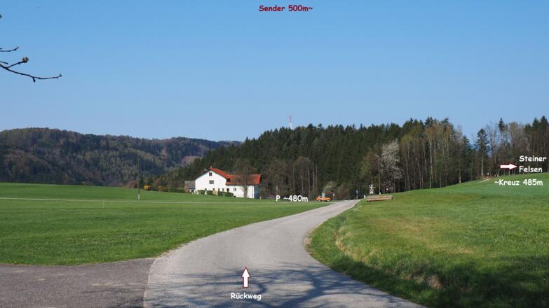 Vor P Schlögenleiten ~480m
