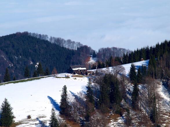 Tiefblick zur Grünburger Hütte