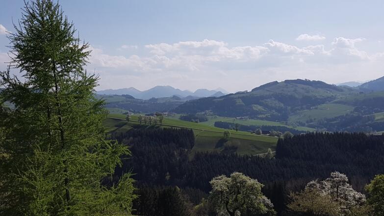 Blick Richtung Süden zu den Haller Mauern Richtung Admont