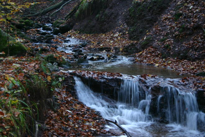 Herbst in der Kaskadenschlucht