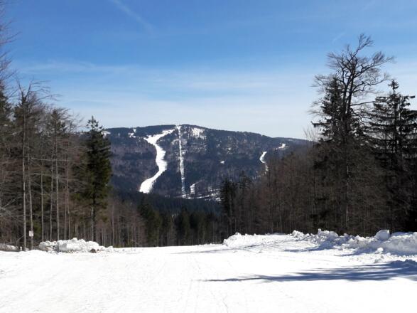 Hochficht 1338m vom Zwiesel