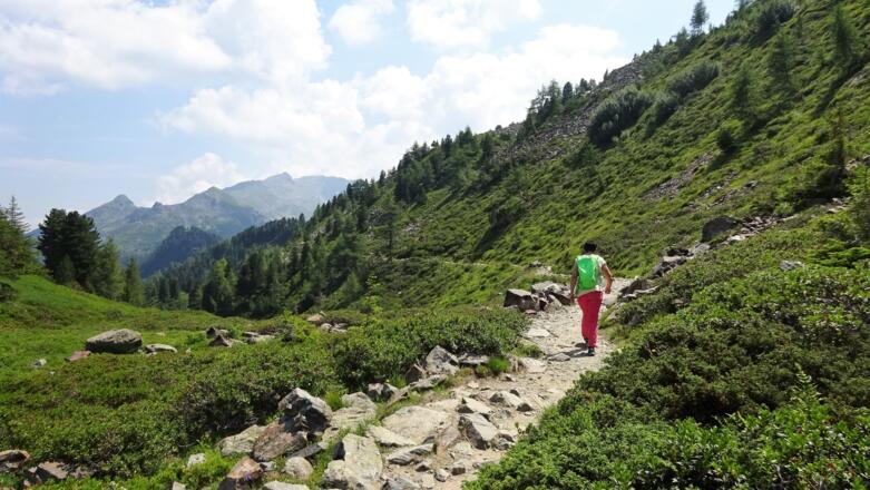 gefahrlos - der Zirbenweg bis zum ...
