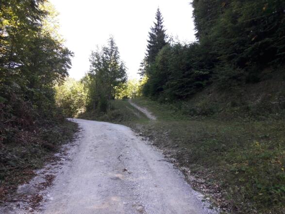 Von der Forststraße geht's rechts weiter (kein Wegweiser)