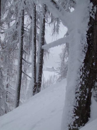 Schöne Skihänge, im Hintergrund die Dümlerhütte