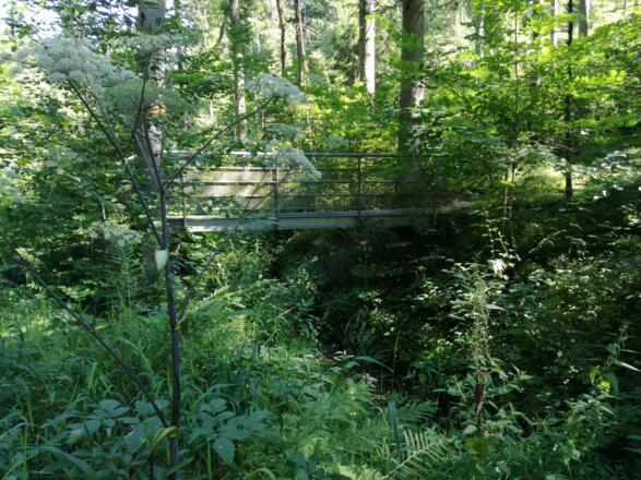 Steg über den Roßbach