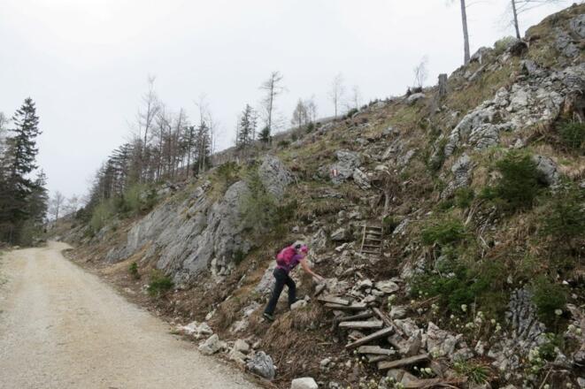 Nach den Straßenquerungen in den Windriss