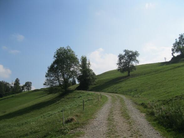Am Bischofberg