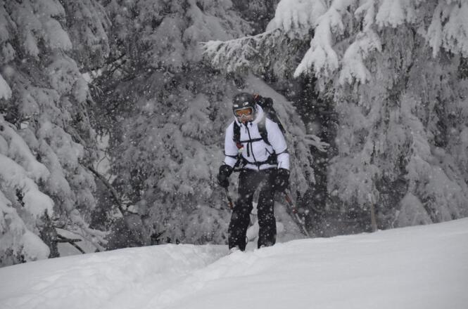 Ausfahrt aus einem Waldabschnitt