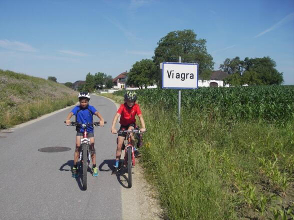 Marchlanddamm bei Wagra