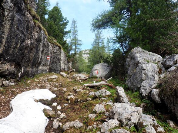 Graben zur Alplhütte unter'm Kühfeld