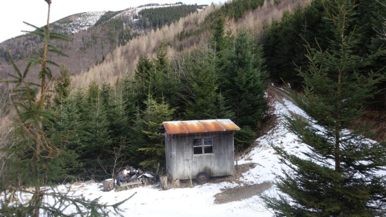 Abstieg zum Forstweg 1000m vom Sattel 1040m