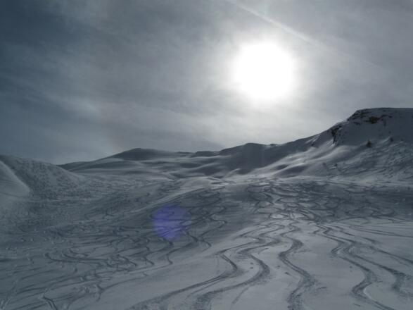 Herrliche nordseitige Abfahrt im weitläufigen Gelände.