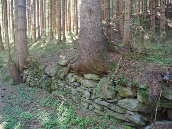 an Wäldern und alten Mauern vorbei