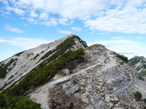 Die letzten Höhenmeter zum Gipfel führen über den aussichtsreichen Gratrücken.