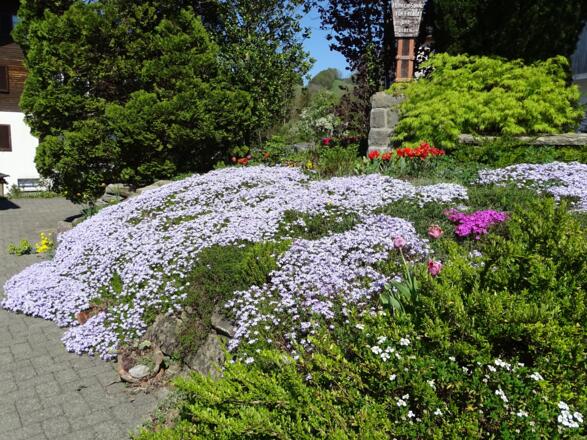 Herrliche Blütenbracht in den Gärten