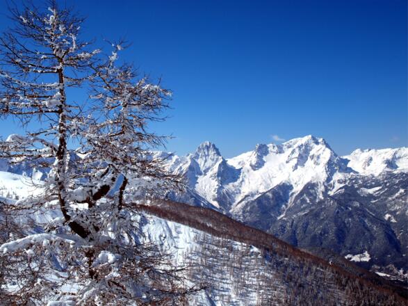 Spitzmauer und Großer Priel